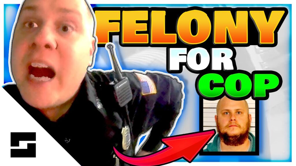 FELONY for Officer - Official Oppression and Excessive Force