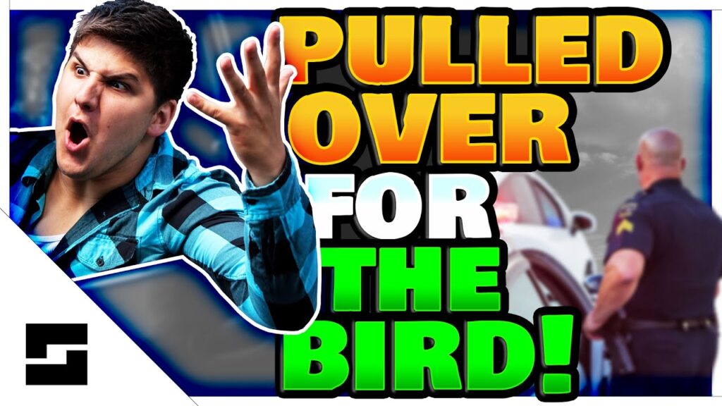 Rookie Cop Traffic Stop For The Bird?!