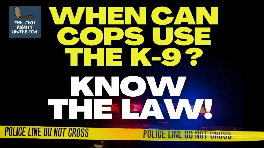 Police K9 Mauls Arrestee | When is Deploying a K9 Excessive Force? | Know The Law