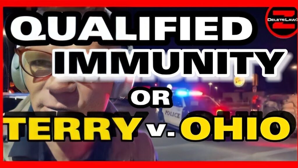 Terry v. Ohio or Qualified Immunity?