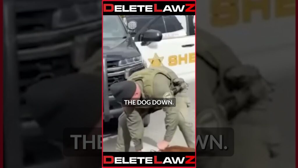 K9 DOGS HAVE TO STOP!