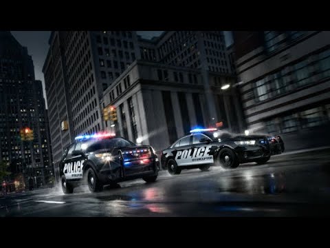 Cops In A Nutshell