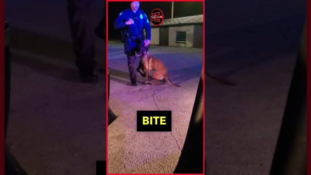 SADISTIC COP SIC’S K9 ON DYLAN, WHO WAS JUST ASLEEP IN HIS JEEP.