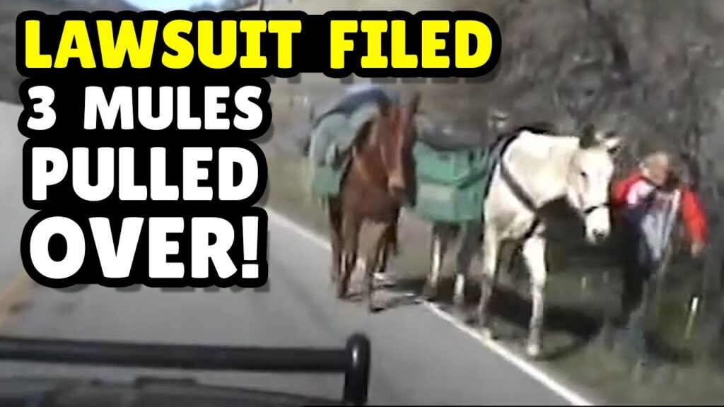 Officer Arrests.... Mules? --- Lawsuit Filed!