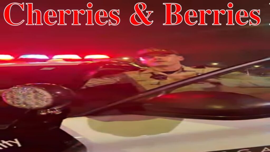 Coppers Cherries and Berries _ LIVE #Audit ~ We Don't Stop