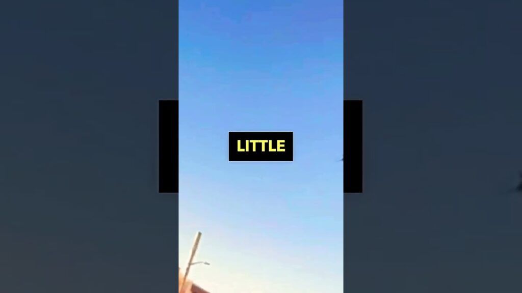 LETS PUT YOUR A** IN THE BACK, COPPER!  (Wait for It!)