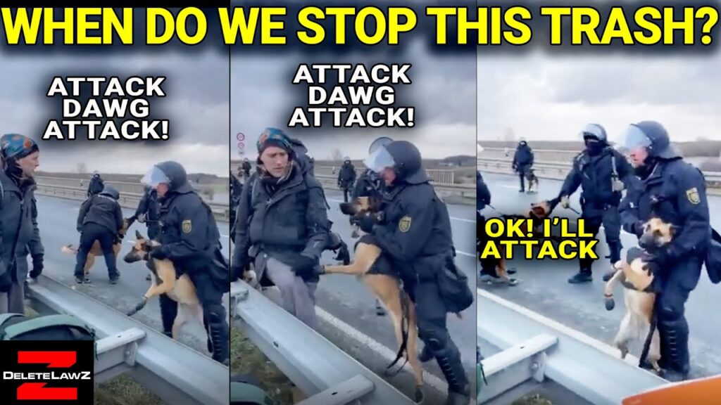 WHEN DO WE BAN THE SAVAGES FROM USING OUR WONDERFUL DOGS?