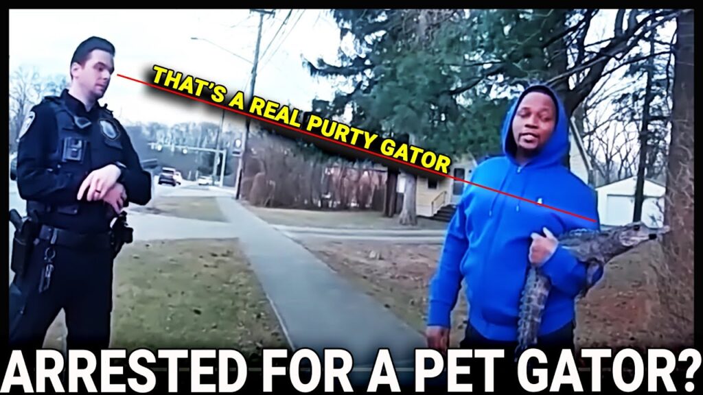 ARRESTED FOR A PET ALLIGATOR?