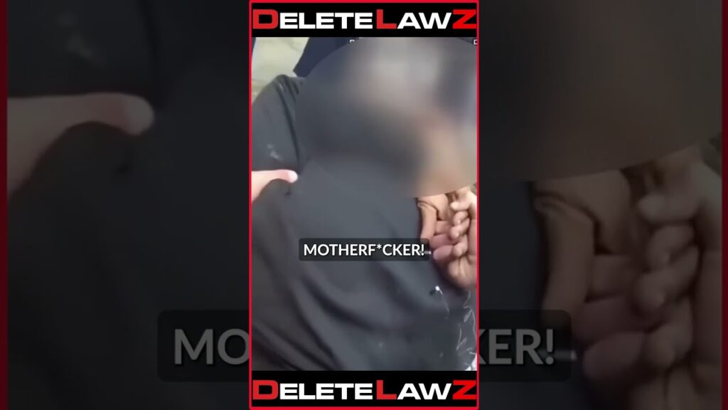 GANG OF THUGS B**T MAN DOWN FOR FLEEING TRAFFIC STOP!