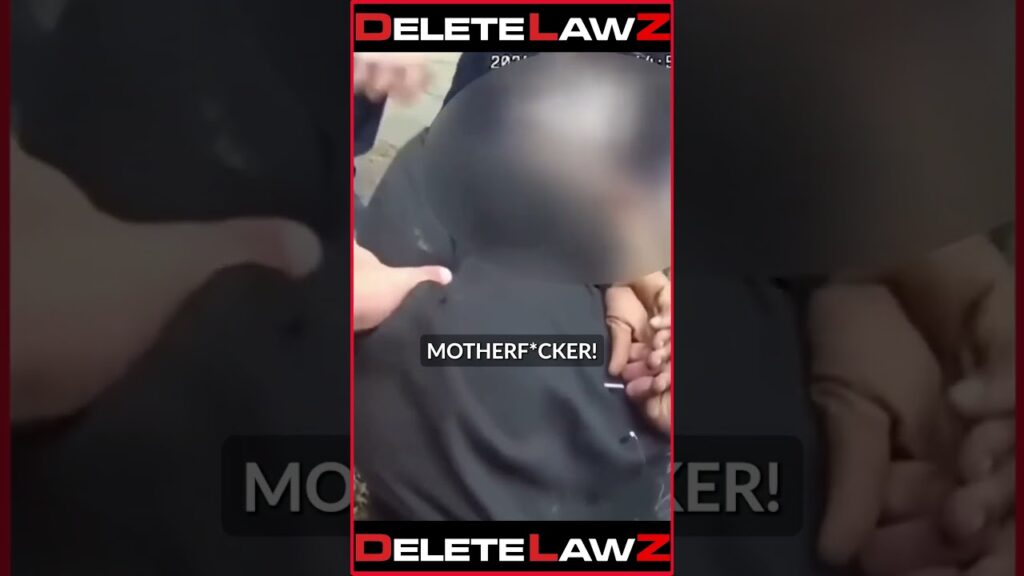 COPS DOGPILE MAN AFTER HE FLEED A TRAFFIC STOP!