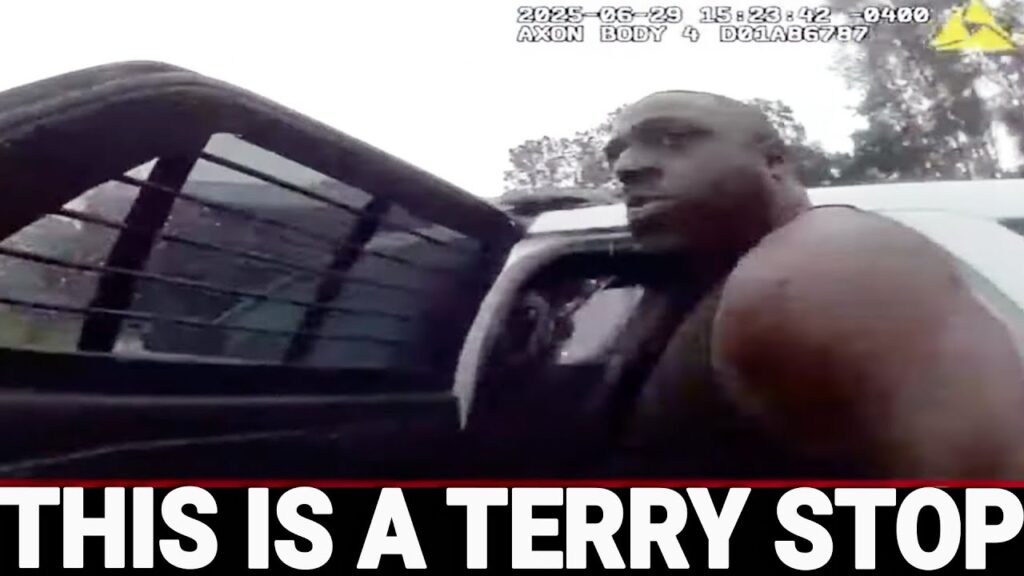 THIS IS A TERRY STOP