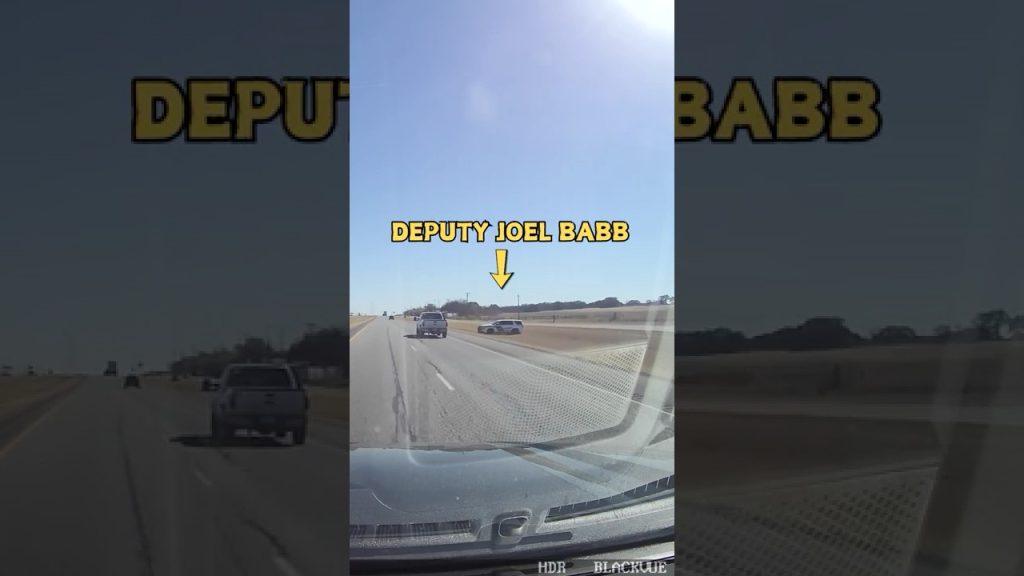 Fake Dog Hit Scam Exposed by Lawsuit & YouTube Video