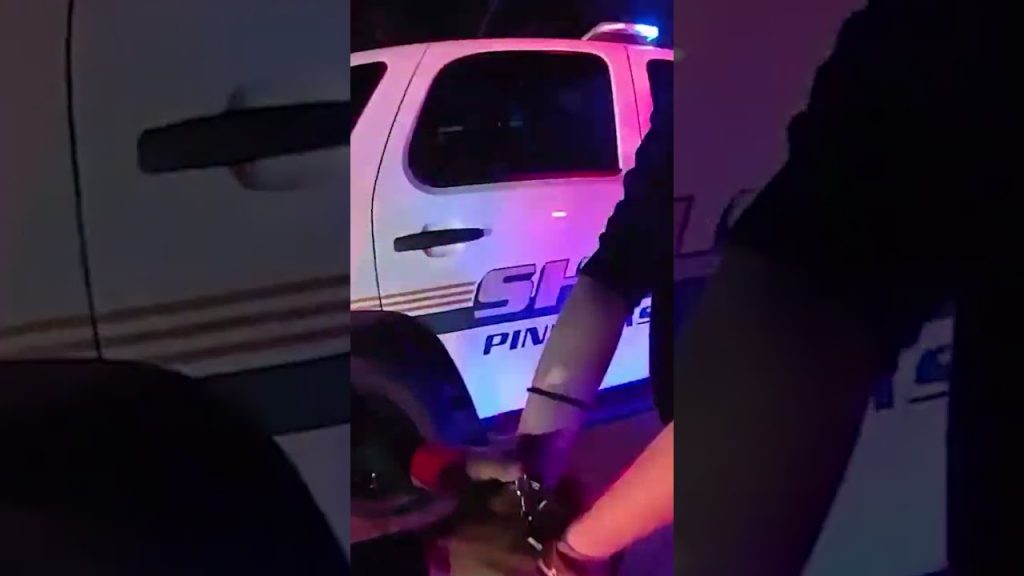 Guns Drawn - Police Mistake