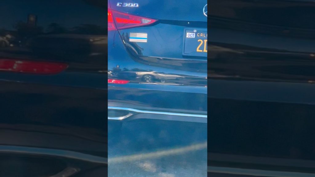 Blue Stripe of Terror