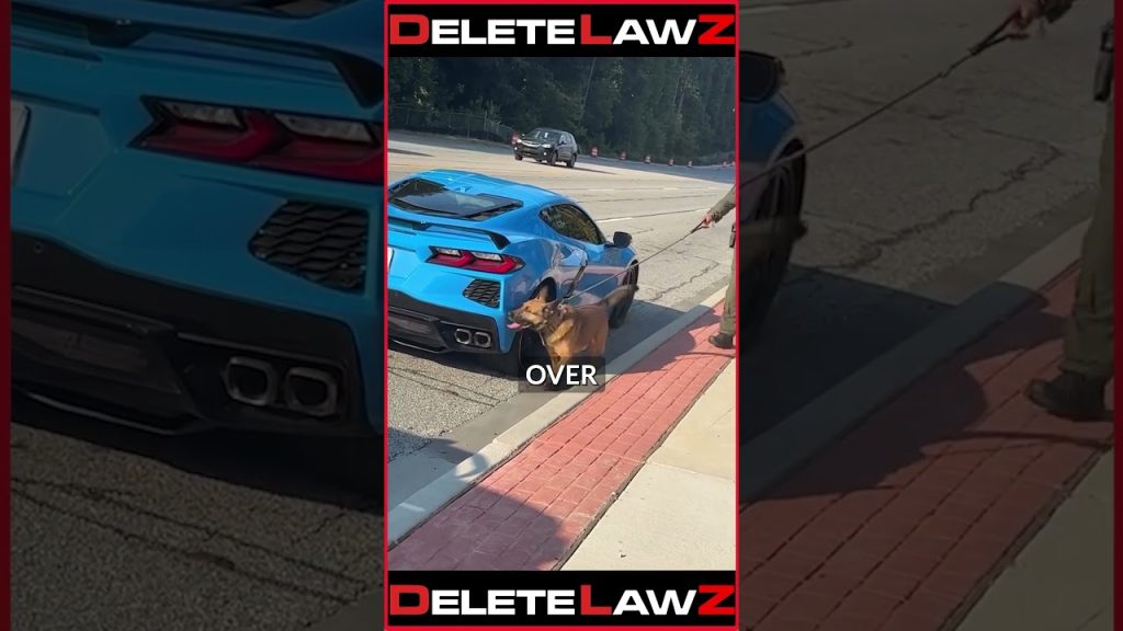 COP TARGETS BLACK MAN FOR DRIVING A CORVETTE!