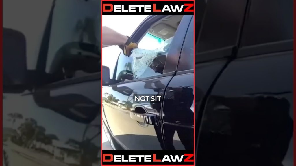 COPS BREAK WOMAN