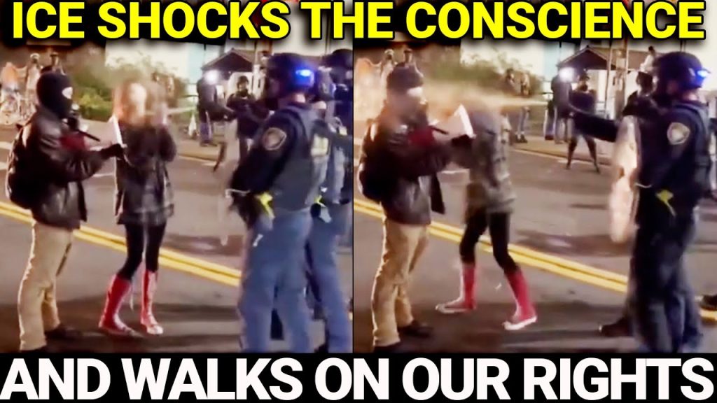 ICE SHOCKS THE CONSCIENCE OF AMERICA AND WALKS OVER OUR RIGHTS; AMERICA IS A WAR ZONE