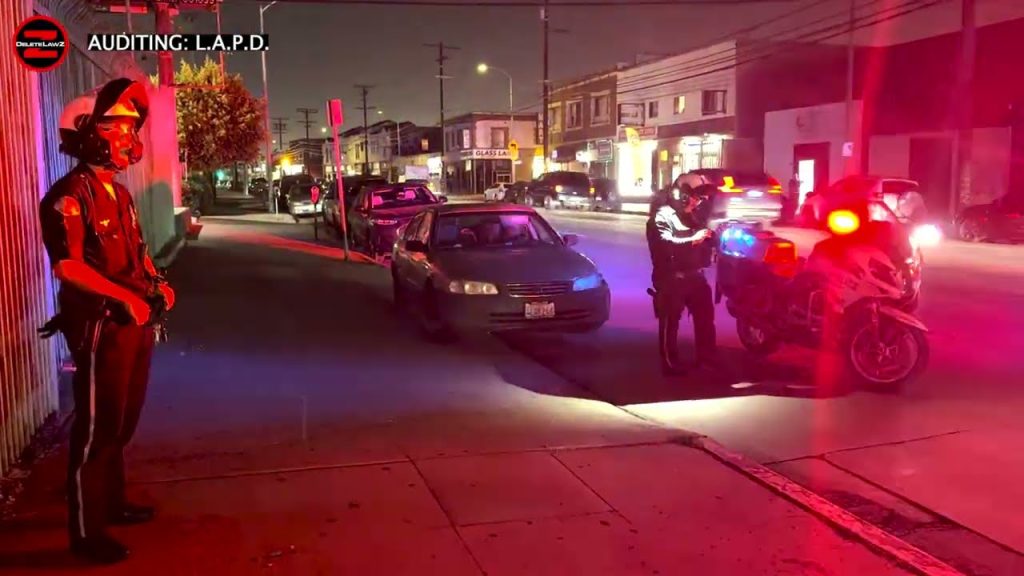 AUDITING LAPD, LOS ANGELES, CALIFORNIA, OCTOBER 2025