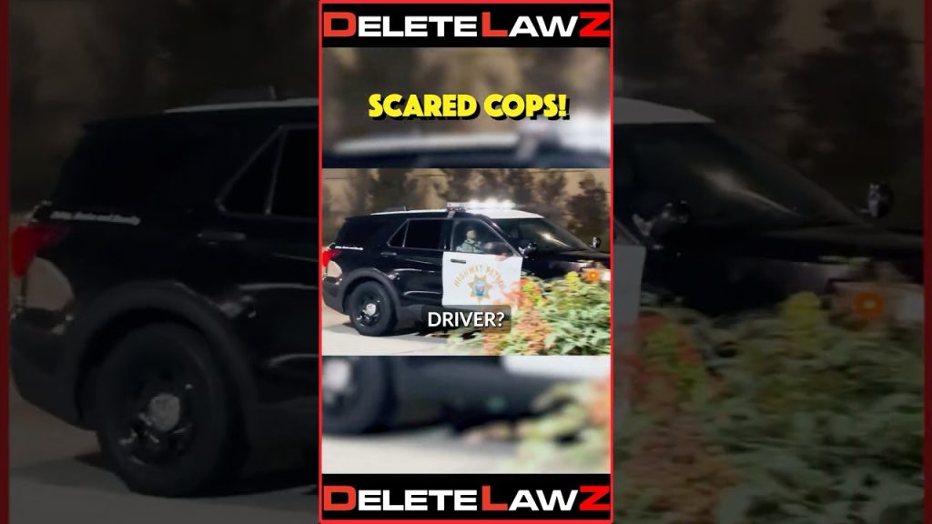 WAIT FOR IT! COPS DO WHAA??