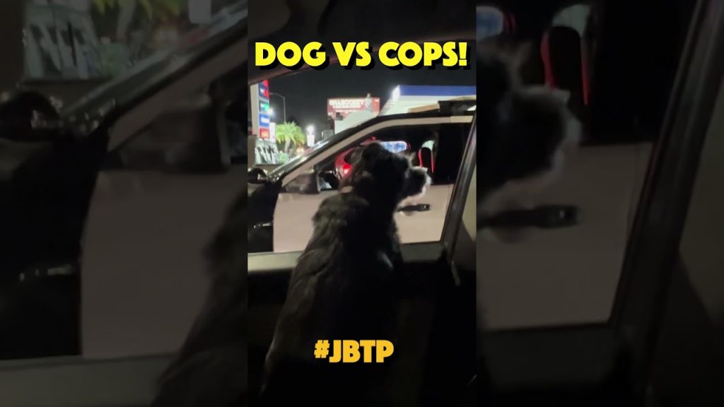 EVEN CHARLIE KNOWS THAT IT'S JUST A FEW BAD APPLES!