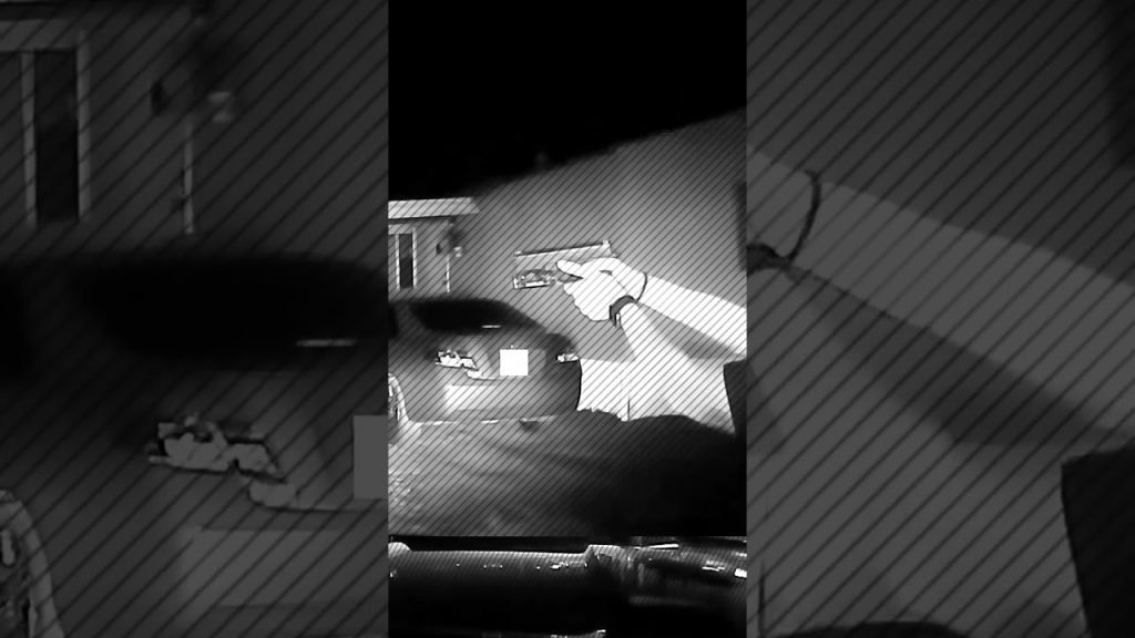 Cops Unlawfully Send Dog On Man