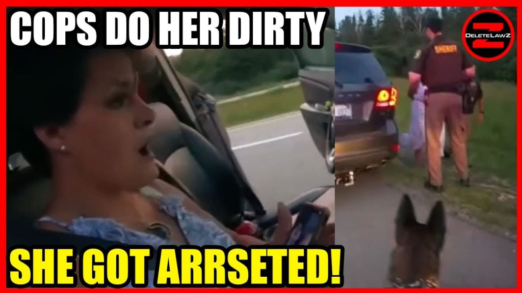 COPS PULL HER OVER AND DO HER DIRTY!