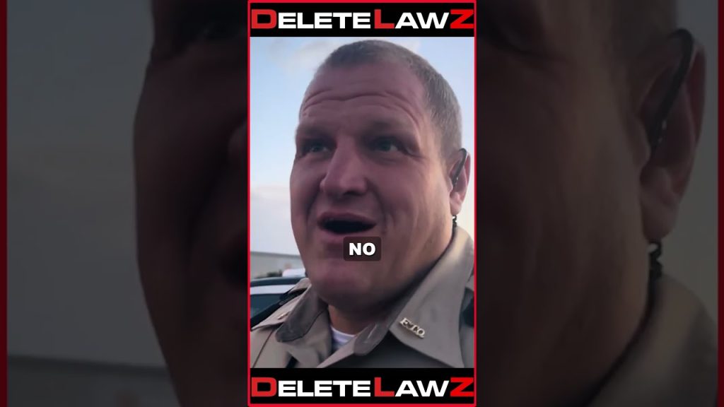 CHEERLEADER COP #audit #funny #viral #auditing #police #cops