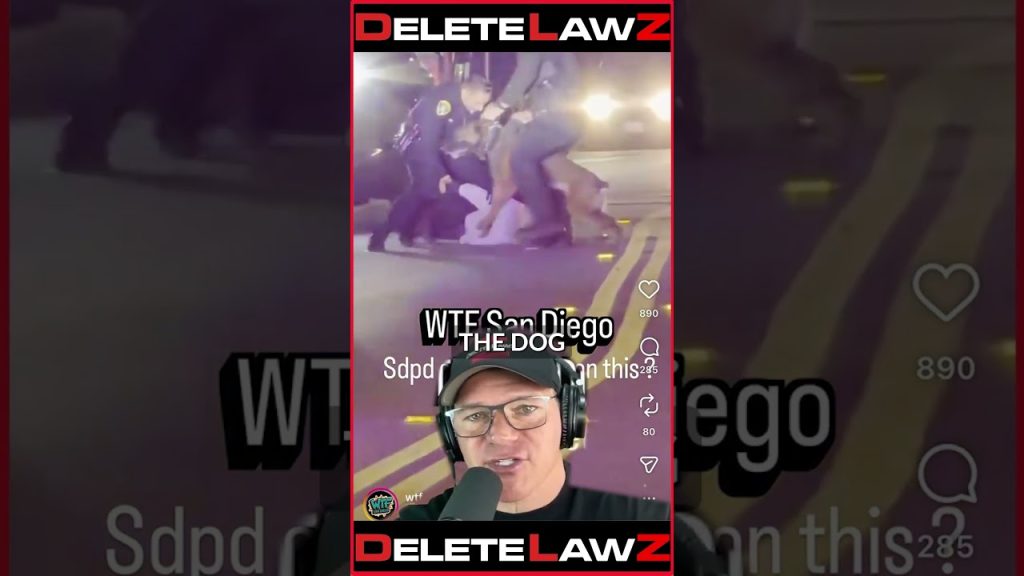 COP HOLDS DOWN MAN AND REPEATEDLY PUMMELS HIM!