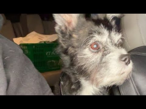 Delete Lawz is live! TRIAL UPDATE